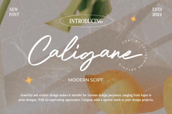 Caligane Typeface: Elevate Campaign Visuals With Elegant Script Typography