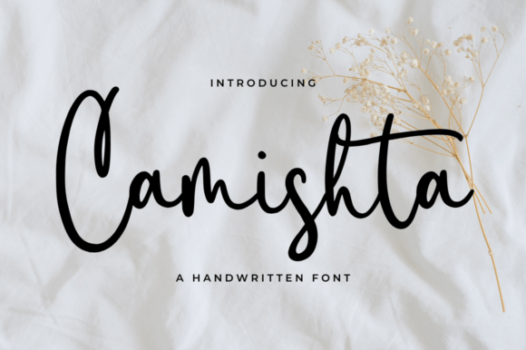 Camishta: A Script Font That Elevates Digital Branding