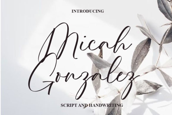 Micah Gonzalez Font for Professional Branding